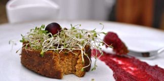 Συνταγή: Απολαυστικό ρολό φυτικής γαλοπούλας με σως κράνμπερυ