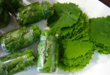 Συντήρηση αμπελόφυλλων σε βάζα ή στην κατάψυξη