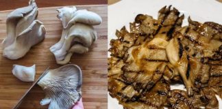 Ψητά μανιτάρια πλευρώτους με λαδορίγανη: Το εύκολο ορεκτικό που είναι πιο νόστιμο κι από κρέας