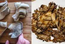 Ψητά μανιτάρια πλευρώτους με λαδορίγανη: Το εύκολο ορεκτικό που είναι πιο νόστιμο κι από κρέας
