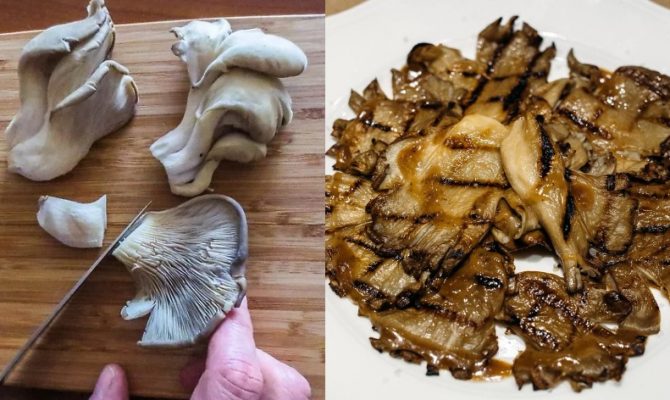 psita-manitaria-pleurotous-ladorigani-eukolo-orektiko-einai-nostimo-kreas-670x400